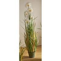 planta diente de leon 150 cms 150 cms