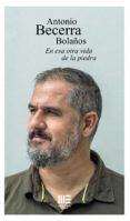 en esa otra vida de la piedra