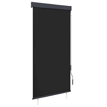 Estor Enrollable De Exterior Gris Antracita 100x250 Cm Vidaxl