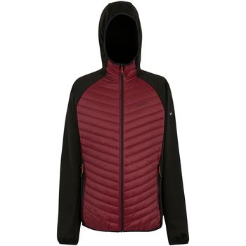Regatta Cazadora Andreson para hombre