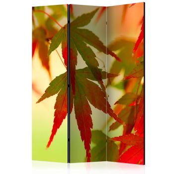 Biombo - Colourful Leaves (135x172 Cm)