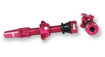 Valvula tubeless ice airflow 44 mm fucsia