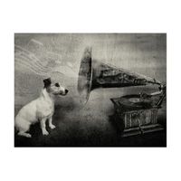 papel pintado 3d - dogs melodies 350x270 cm