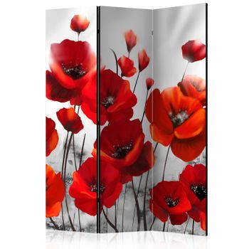 Biombo - Poppies In The Moonlight (135x172 Cm)
