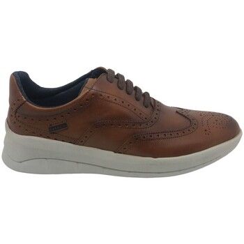 Baerchi Zapatos Hombre Zapato Casual Hombre 1401 1003 para hombre