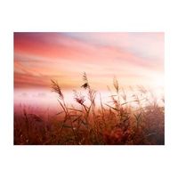 papel pintado 3d - prado al amanecer 400x309 cm