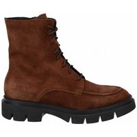 viguera botines 8416 para mujer