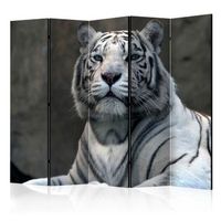 biombo - bengali tiger in zoo ii room dividers