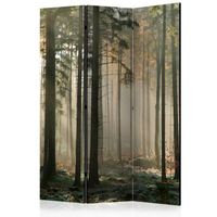 biombo - foggy november morning 135x172 cm