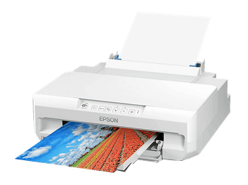 Impresora tinta - Epson Expression Photo XP-65, Impresión doble cara, Color, WiFi