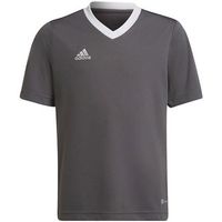 adidas camiseta entrada 22 jsy para nino