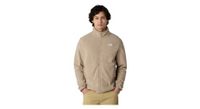 chaqueta polar the north face glacier beige para hombre