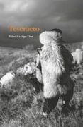 Teseracto
