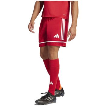 adidas Short Shorts Squadra 25 100% polyester recyclé para hombre