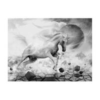 papel pintado 3d - unicorn 350x270 cm