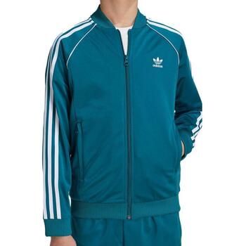adidas Chaqueta IY9851 para hombre