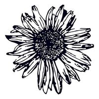 decoracion pared de metal daisy 2 negro 70x70 cm