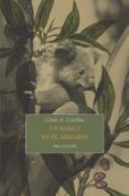 un koala en el armario