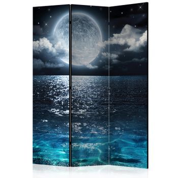 Biombo - Blue Lagoon (135x172 Cm)