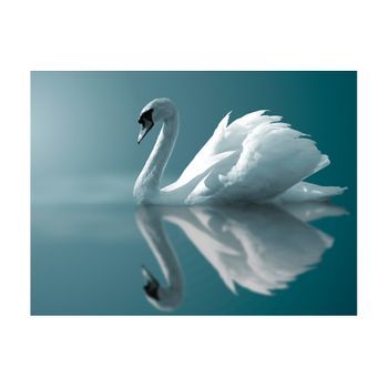 Papel Pintado 3d - Cisne Blanco (350x270 Cm)