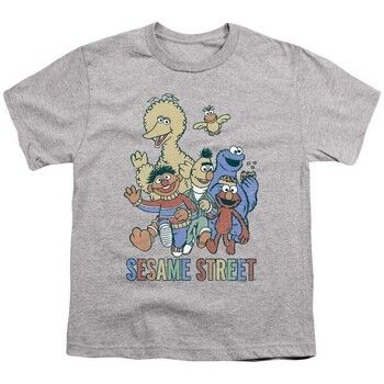 Sesame Street Tops y Camisetas Colourful Group para niño