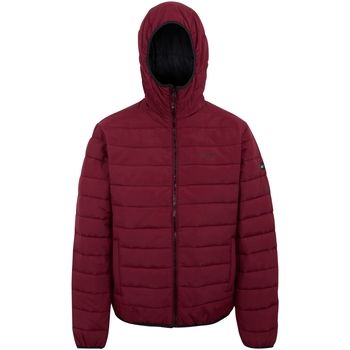 Regatta Cazadora Helfa para hombre
