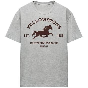 Yellowstone Camiseta Dutton Ranch para mujer