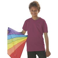 fruit of the loom camiseta 61019 para nino