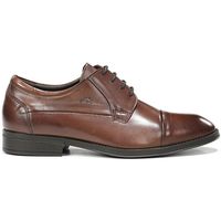 fluchos zapatos hombre f2486 habanapolisandro para hombre