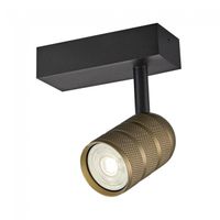 foco de techo orientable mycro