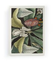 lienzo 60x40 impresion arbol paraguas