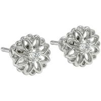 bibei pendientes bipe037 para mujer