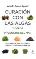 curacion con las algas y otros productos del mar descripcion ilustrac