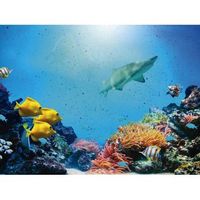 fotomural vinilo oceano tiburones 500 x 300 cm