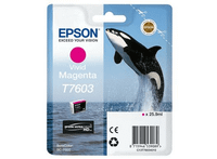 cartucho magenta vivo sc-p600