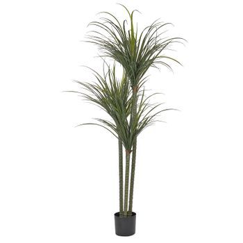Planta Artificial En Maceta Para Interior Decoración De Plástico 198 Cm De Altura Dracaena Anita