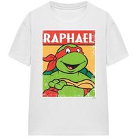 teenage mutant ninja turtles camiseta tv28428 para mujer