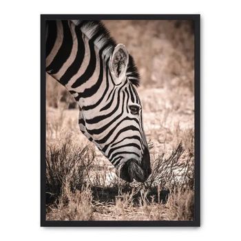 Cuadro Grazing Zebra