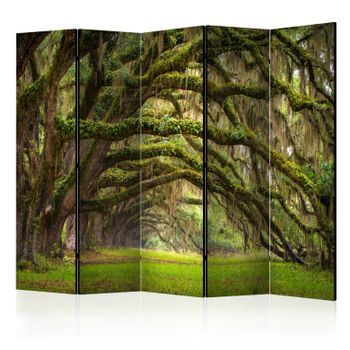 Biombo - Tree Embrace Ii  (225x172 Cm)