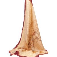 alviero martini bufanda - para mujer