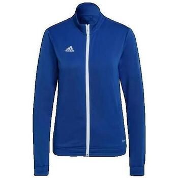 adidas Chaqueta Entrada 22 para mujer