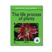 msr 4 the life process of plants