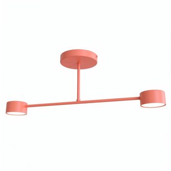Plafón de techo tanfa coral (2 luces)