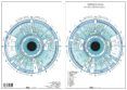 iridiologia