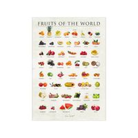 poster fruits of the world sin marco - 30 x 40 cm