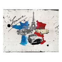 papel pintado 3d - admirer of cars france 350x270 cm