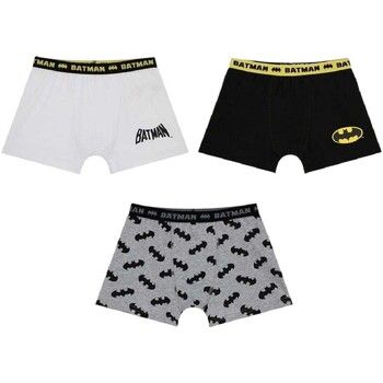 Dessins Animés Boxer GT50924 para niño