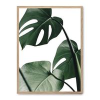 cuadro monstera leaves ii