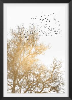 Cartel dibujo «cielo dorado» con marco negro 40x60 cm
