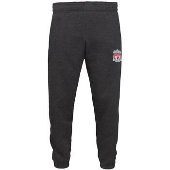 Liverpool Fc Pantalón chandal GF861 para niño